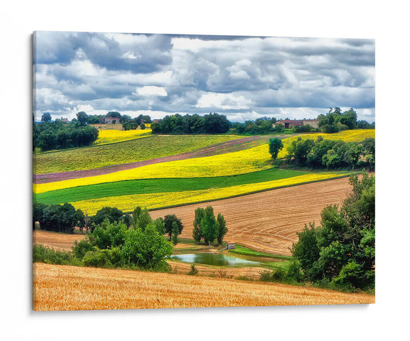 Campo Pastoral Viii - Colby Chester | Cuadro decorativo de Canvas Lab