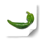 Chilaca - Chef Capellini | Cuadro decorativo de Canvas Lab