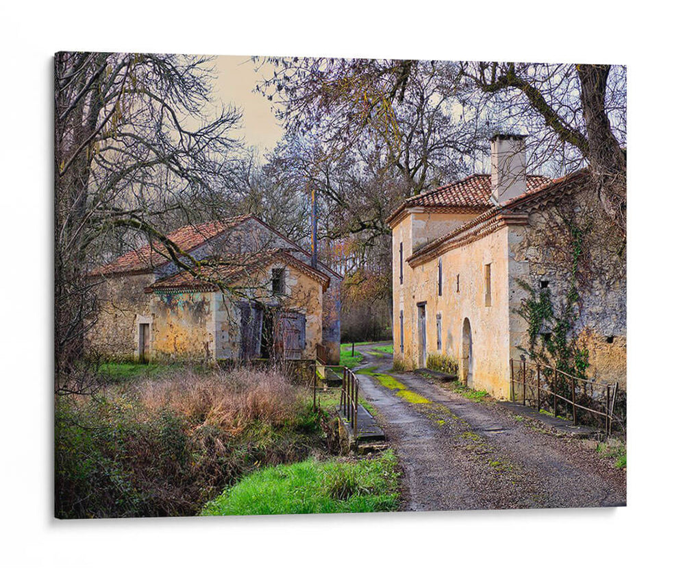 Campo Pastoral Xii - Colby Chester | Cuadro decorativo de Canvas Lab