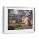 Campo Pastoral Xii - Colby Chester | Cuadro decorativo de Canvas Lab