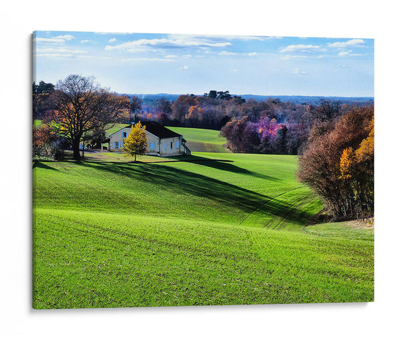 Campo Pastoral Xv - Colby Chester | Cuadro decorativo de Canvas Lab