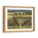 Campo Pastoral Xvi - Colby Chester | Cuadro decorativo de Canvas Lab