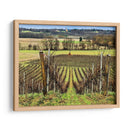 Campo Pastoral Xvi - Colby Chester | Cuadro decorativo de Canvas Lab