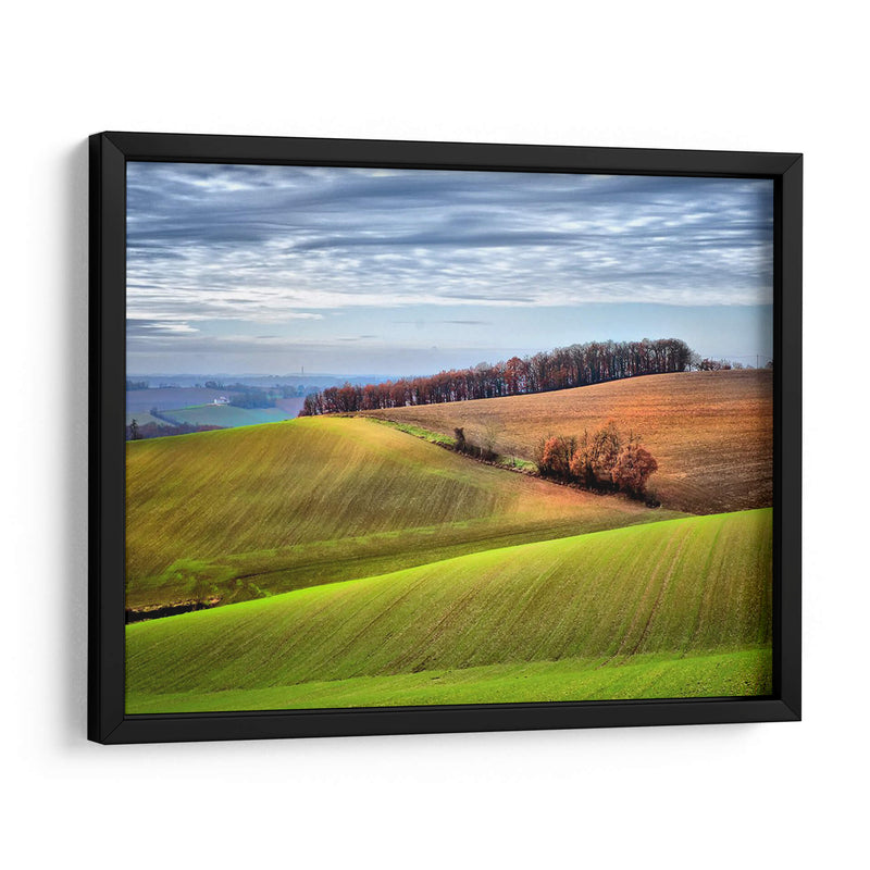 Campo Pastoral Xx - Colby Chester | Cuadro decorativo de Canvas Lab