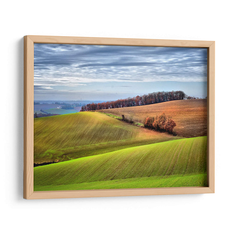 Campo Pastoral Xx - Colby Chester | Cuadro decorativo de Canvas Lab