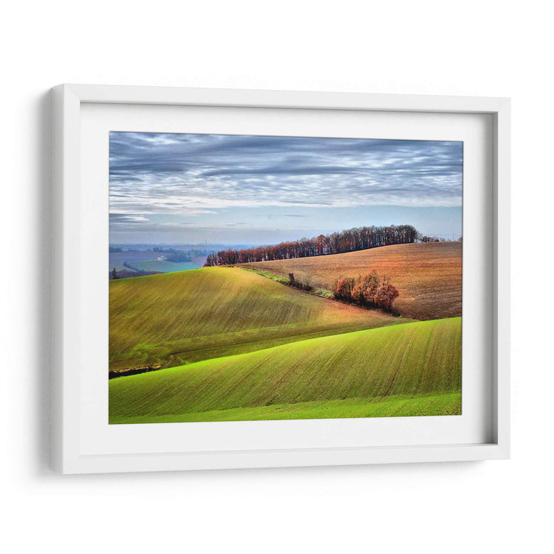 Campo Pastoral Xx - Colby Chester | Cuadro decorativo de Canvas Lab