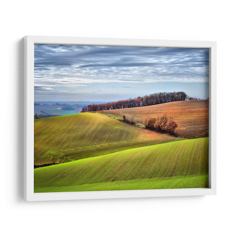 Campo Pastoral Xx - Colby Chester | Cuadro decorativo de Canvas Lab