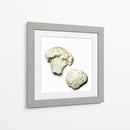 Coliflor - Chef Capellini | Cuadro decorativo de Canvas Lab