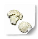 Coliflor - Chef Capellini | Cuadro decorativo de Canvas Lab