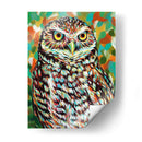 Fury Feather Friends Ii - Carolee Vitaletti | Cuadro decorativo de Canvas Lab