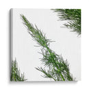 Eneldo - Chef Capellini | Cuadro decorativo de Canvas Lab