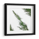 Eneldo - Chef Capellini | Cuadro decorativo de Canvas Lab