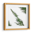 Eneldo - Chef Capellini | Cuadro decorativo de Canvas Lab