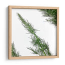 Eneldo - Chef Capellini | Cuadro decorativo de Canvas Lab