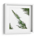 Eneldo - Chef Capellini | Cuadro decorativo de Canvas Lab