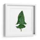 Espinaca - Chef Capellini | Cuadro decorativo de Canvas Lab