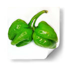 Habanero - Chef Capellini | Cuadro decorativo de Canvas Lab