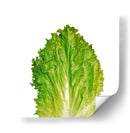 Italiana - Chef Capellini | Cuadro decorativo de Canvas Lab