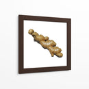 Jengibre - Chef Capellini | Cuadro decorativo de Canvas Lab
