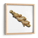 Jengibre - Chef Capellini | Cuadro decorativo de Canvas Lab