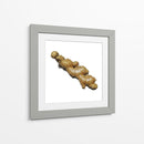 Jengibre - Chef Capellini | Cuadro decorativo de Canvas Lab