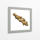 Jengibre - Chef Capellini | Cuadro decorativo de Canvas Lab