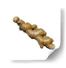 Jengibre - Chef Capellini | Cuadro decorativo de Canvas Lab