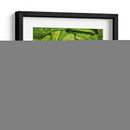 Lechuga Francesa - Chef Capellini | Cuadro decorativo de Canvas Lab