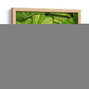 Lechuga Francesa - Chef Capellini | Cuadro decorativo de Canvas Lab