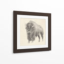 Estudio De Bison Occidental - Ethan Harper | Cuadro decorativo de Canvas Lab