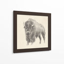 Estudio De Bison Occidental - Ethan Harper | Cuadro decorativo de Canvas Lab