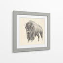 Estudio De Bison Occidental - Ethan Harper | Cuadro decorativo de Canvas Lab