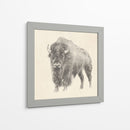 Estudio De Bison Occidental - Ethan Harper | Cuadro decorativo de Canvas Lab