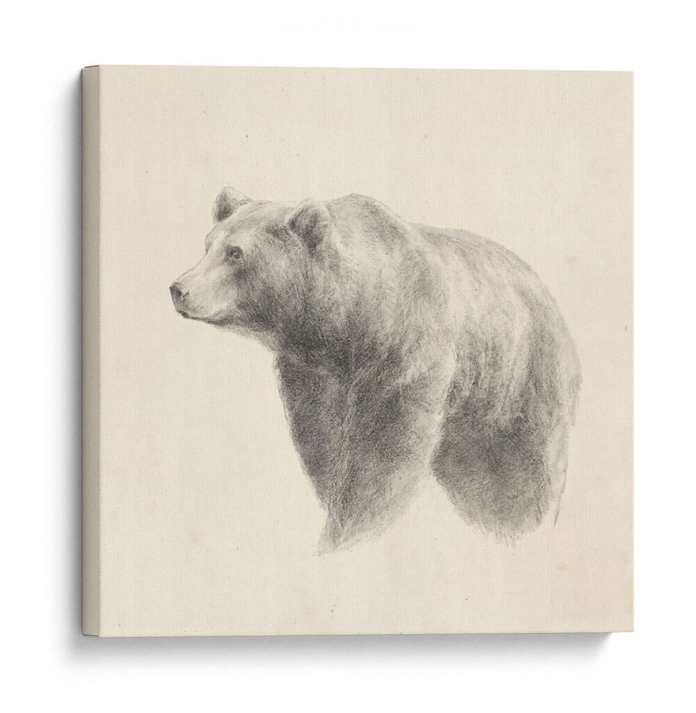 Estudio Occidental Oso - Ethan Harper | Cuadro decorativo de Canvas Lab