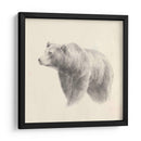 Estudio Occidental Oso - Ethan Harper | Cuadro decorativo de Canvas Lab