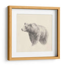 Estudio Occidental Oso - Ethan Harper | Cuadro decorativo de Canvas Lab