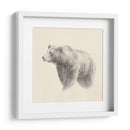 Estudio Occidental Oso - Ethan Harper | Cuadro decorativo de Canvas Lab