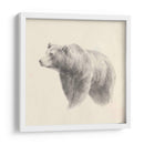 Estudio Occidental Oso - Ethan Harper | Cuadro decorativo de Canvas Lab