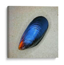 Mejillón - Chef Capellini | Cuadro decorativo de Canvas Lab