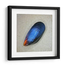 Mejillón - Chef Capellini | Cuadro decorativo de Canvas Lab