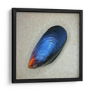 Mejillón - Chef Capellini | Cuadro decorativo de Canvas Lab