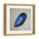 Mejillón - Chef Capellini | Cuadro decorativo de Canvas Lab