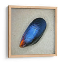 Mejillón - Chef Capellini | Cuadro decorativo de Canvas Lab