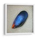 Mejillón - Chef Capellini | Cuadro decorativo de Canvas Lab