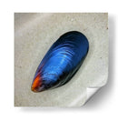 Mejillón - Chef Capellini | Cuadro decorativo de Canvas Lab