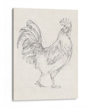 Boceto De Gallo I - Ethan Harper | Cuadro decorativo de Canvas Lab