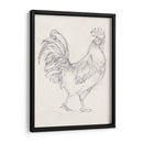 Boceto De Gallo I - Ethan Harper | Cuadro decorativo de Canvas Lab