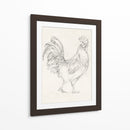 Boceto De Gallo I - Ethan Harper | Cuadro decorativo de Canvas Lab