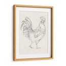 Boceto De Gallo I - Ethan Harper | Cuadro decorativo de Canvas Lab