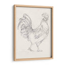 Boceto De Gallo I - Ethan Harper | Cuadro decorativo de Canvas Lab